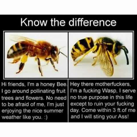 image - 00-sarcasm is my only defense