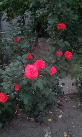 20150921_193259