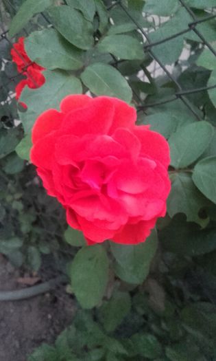 20150921_192843