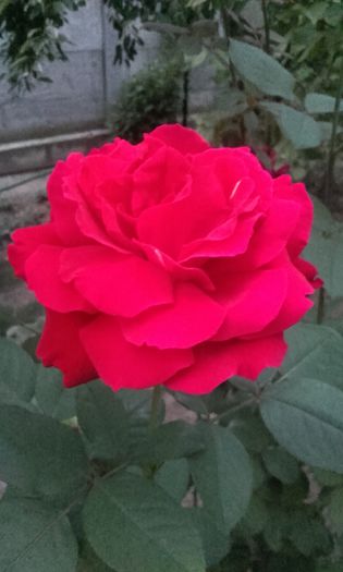 20150921_193007
