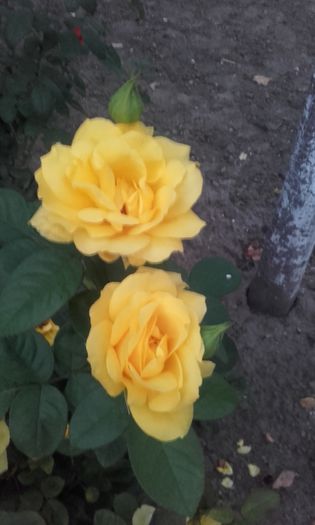 20150921_193034