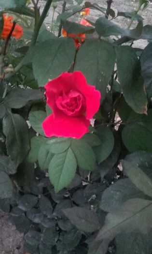 20150921_193109