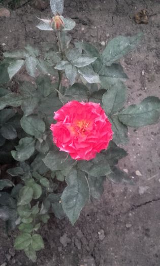 20150921_193224
