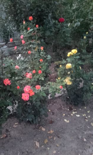 20150921_193248