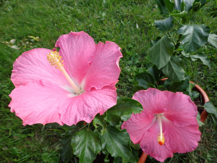 DSC00473
