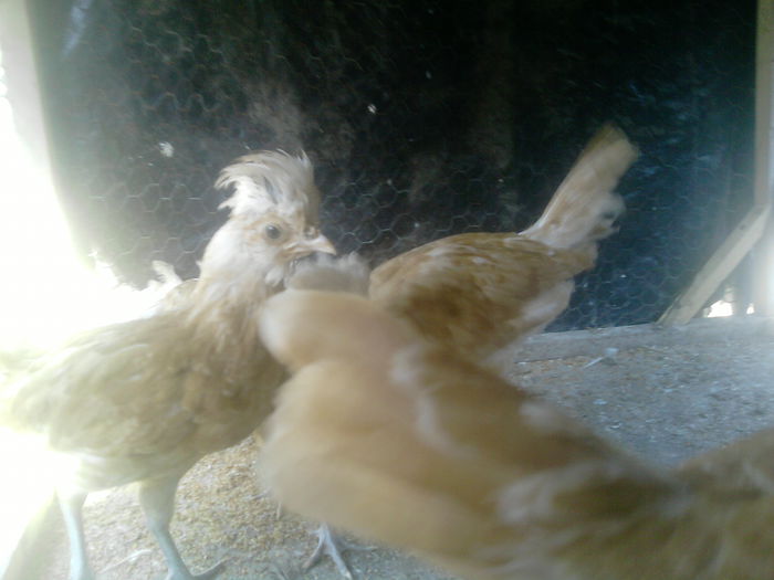 P220915_13.38_[03] - pui 2015