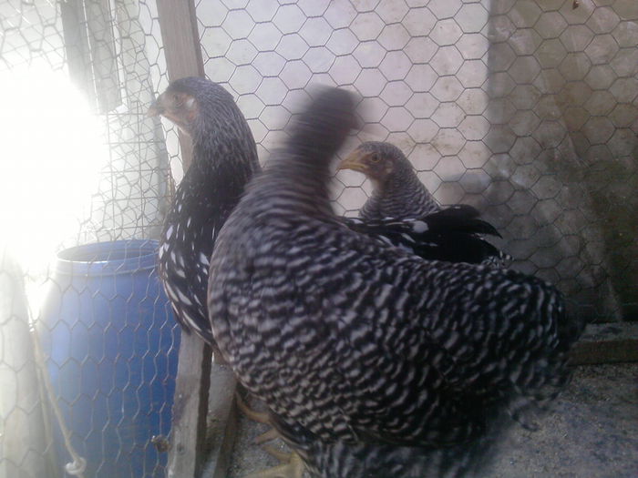 P220915_13.35_[01] - pui 2015