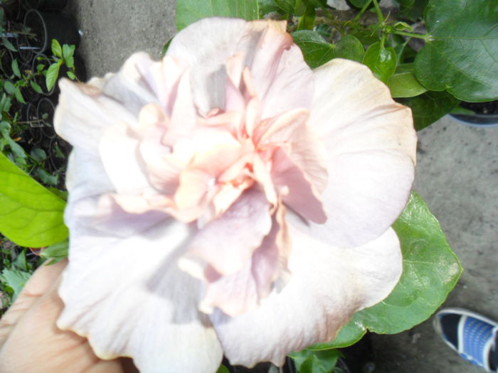 SAM_0325