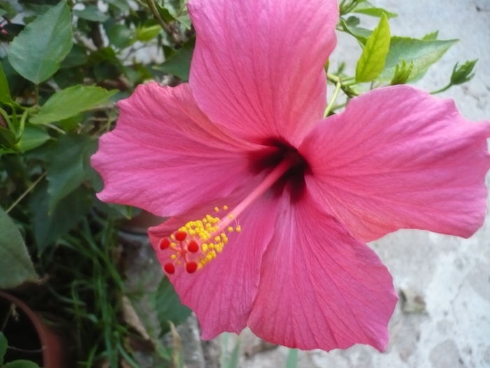 P1240211