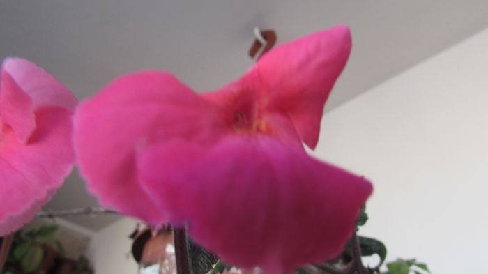 017