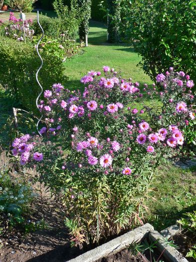 P1730047 - 2015 - 02 - Toamna si Iarna