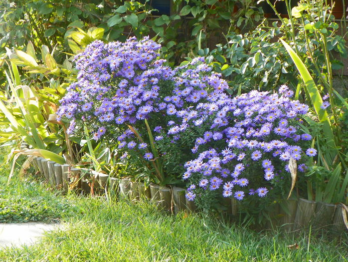 22 sept 072