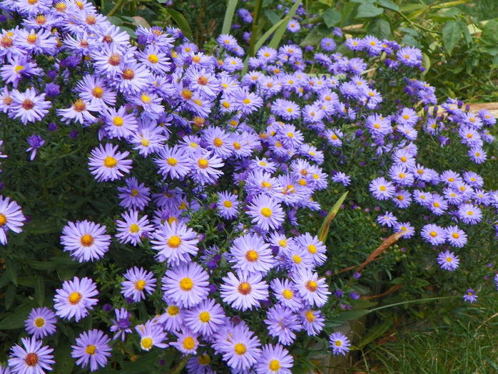 22 sept 003