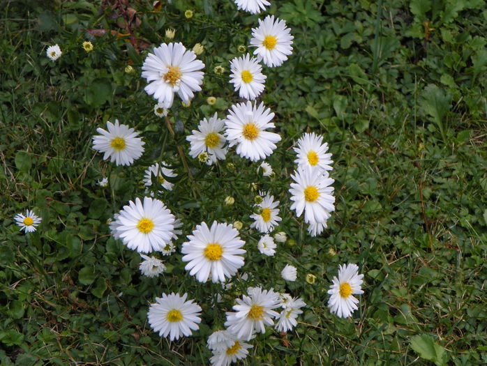 22 sept 007