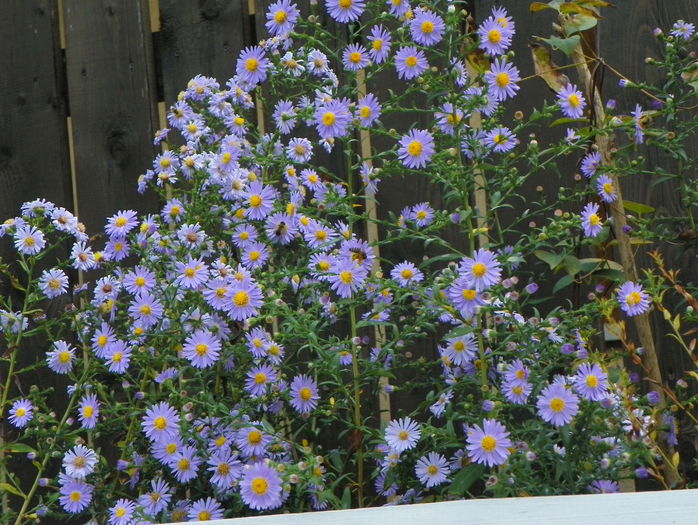 22 sept 008