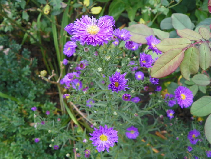 22 sept 010