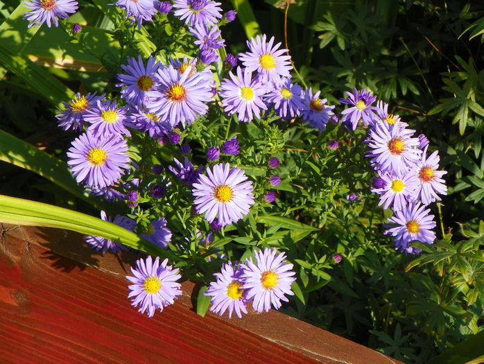 22 sept 046