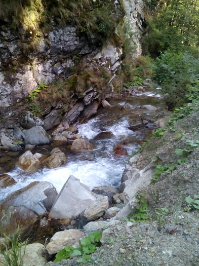 19.Picture 043; Valea Şucului.
