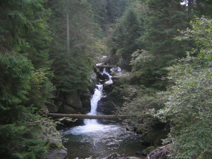 20.IMG_0142; Cascada Şucu.
