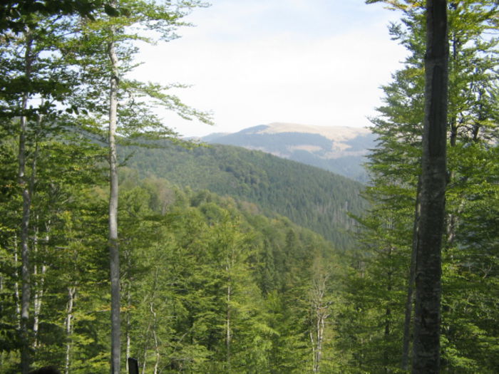 21.IMG_0171; Vedere spre Munţii Ţascului.
