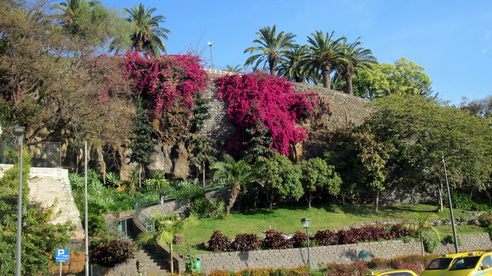 FUNCHAL (INS. MADEIRA, PORTUGALIA)
