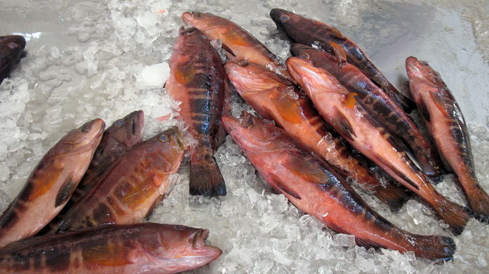 FUNCHAL, PIATA DE PESTE