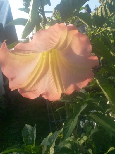 20150718_075750