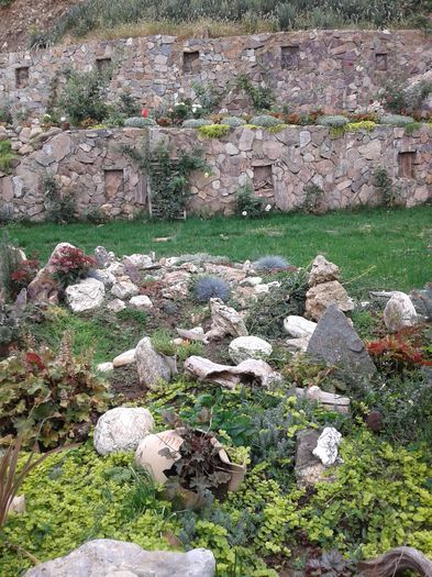 20150921_110237[1] - GRADINA MEA inceputuri