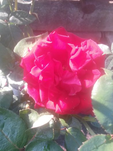 20150718_080107