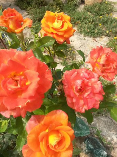20150724_151243