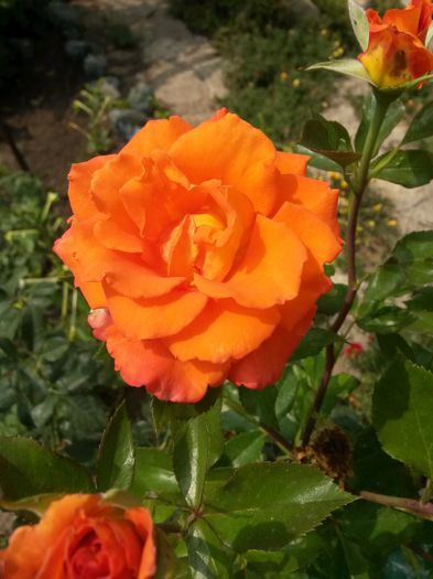 20150724_151252