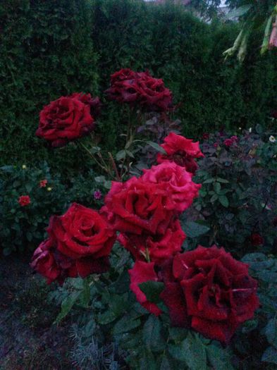 20150920_192953