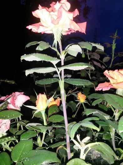 20150920_193446
