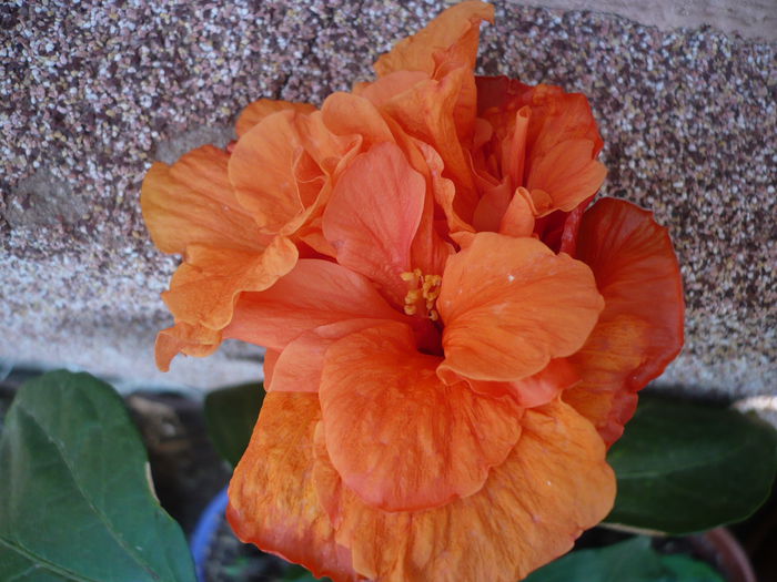 P1240215