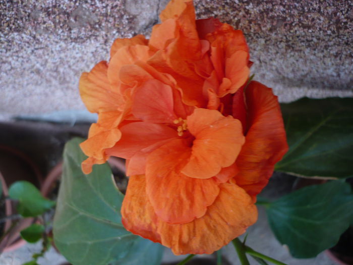 P1240217