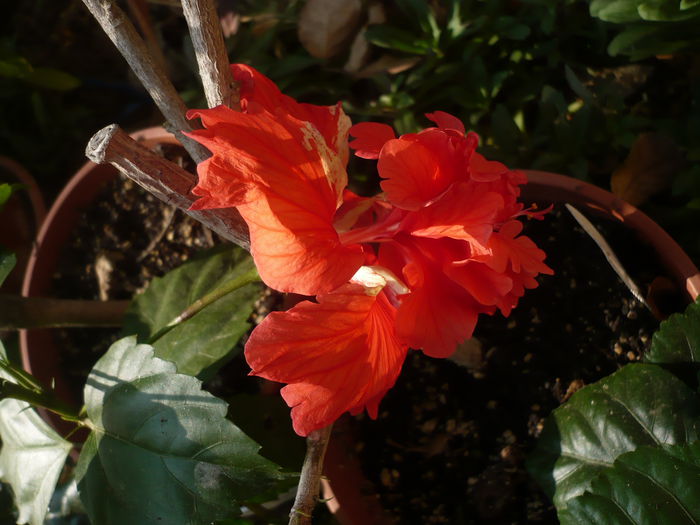 P1240218