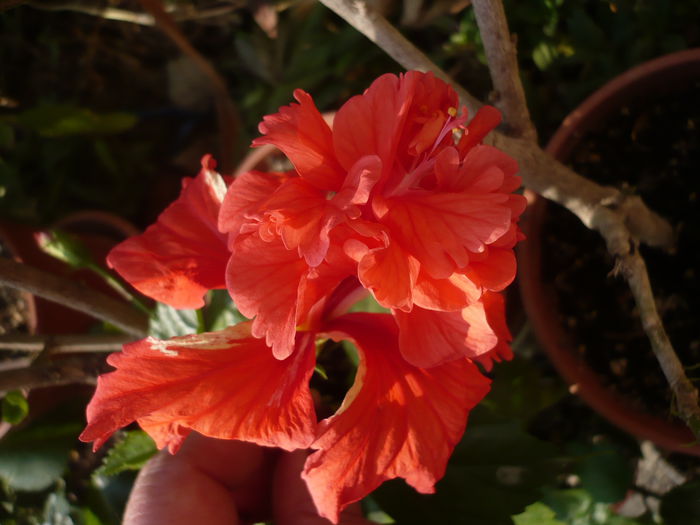 P1240220