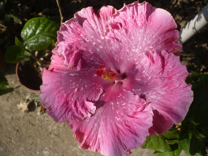 P1240221