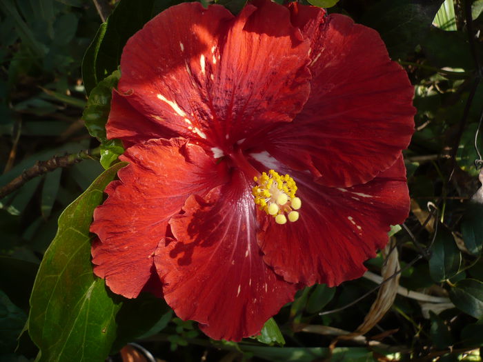 P1240225
