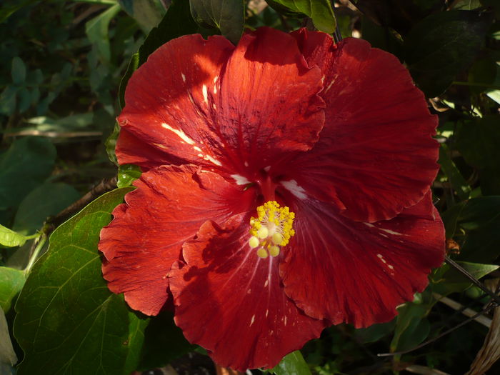P1240227