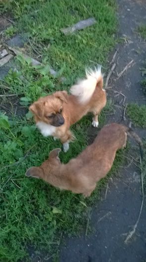 WP_20150824_039 - Paza