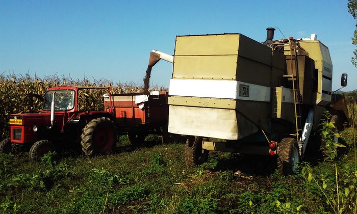 20150923_154235 - Campanie agricola toamna 2015