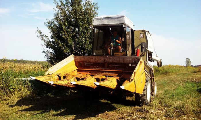 20150923_155115 - Campanie agricola toamna 2015