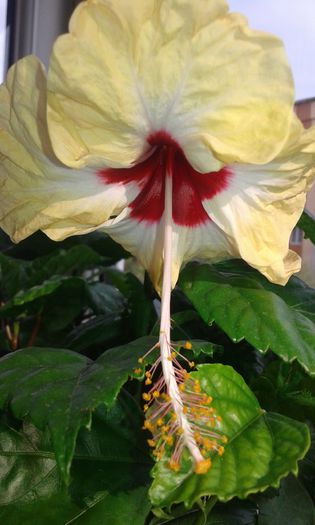 20150923_165108