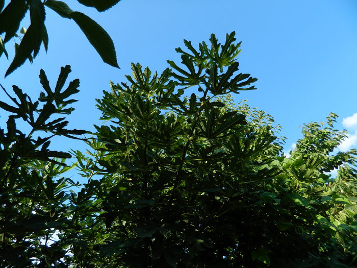 DSCN8051