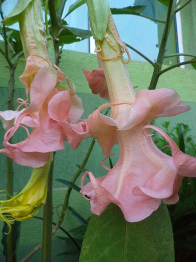 DSC04919