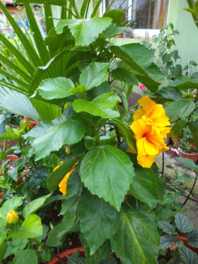 DSC04937