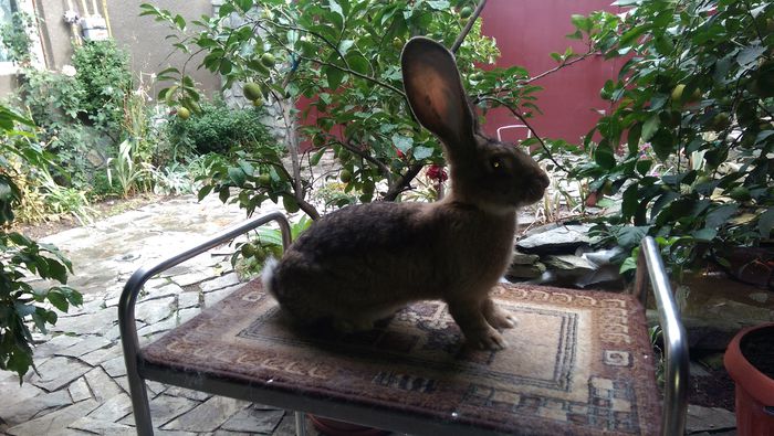 Tineret_Februarie-2015-