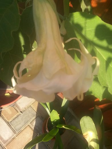 20150718_080448