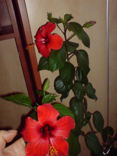 DSC00376